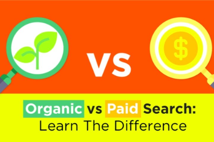 The Difference Between Organic Marketing And Paid Marketing